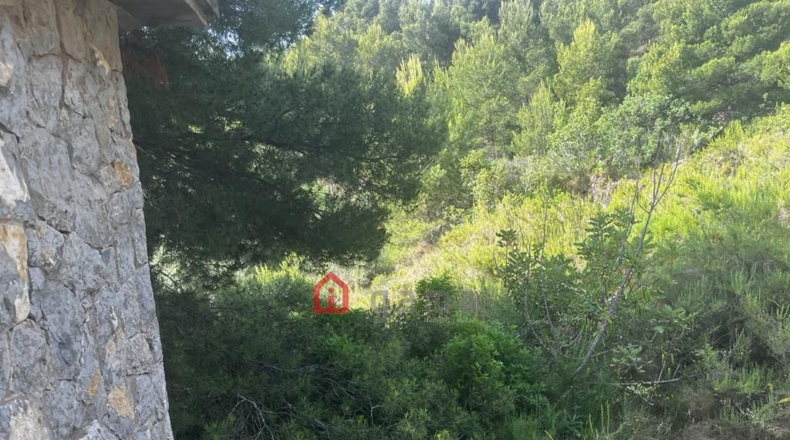 Castellón - Castelló de la Plana - 564m2