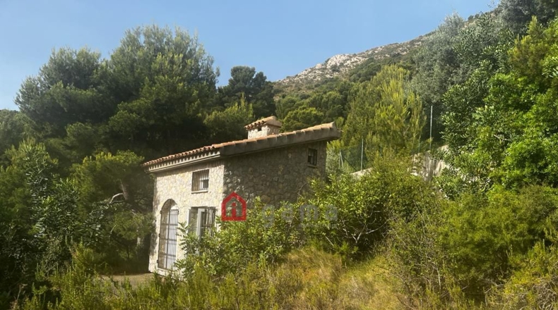 Castellón - Castelló de la Plana - 564m2