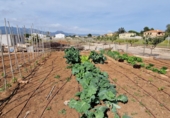 Xalet independent amb terreny en venda a Castelló de la Plana ref.: TR103102 foto