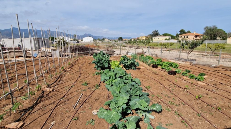 Castellón - Castelló de la Plana - 3996m2