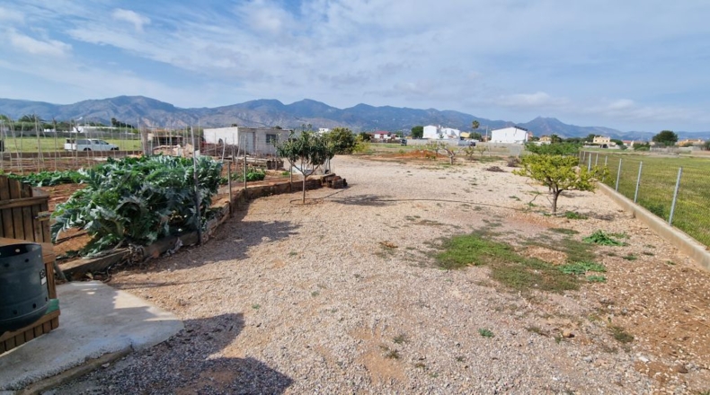 Castellón - Castelló de la Plana - 3996m2