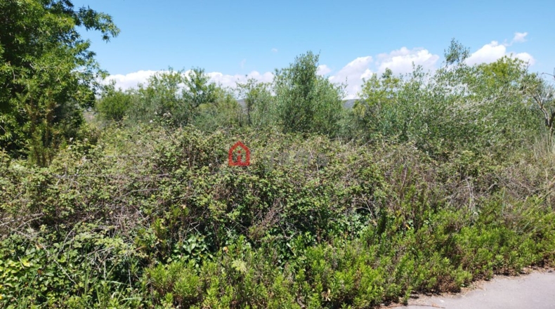 Castellón - Alcalá de Chivert - 11245m2