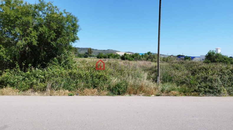 Castellón - Alcalá de Chivert - 7230m2