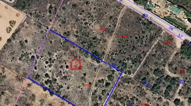 Castellón - Alcalá de Chivert - 1639m2