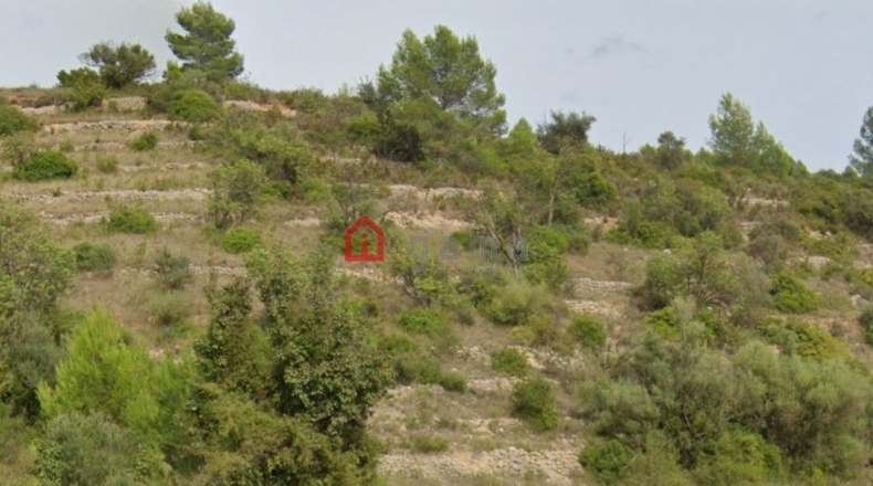 Castellón - Cervera del Maestre - 430m2