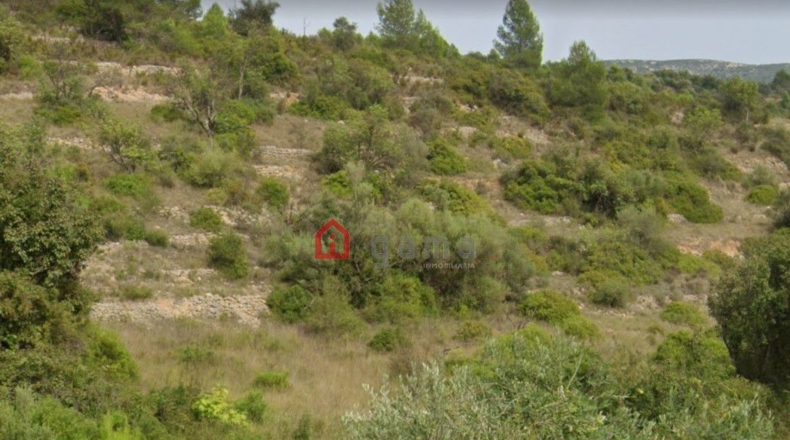 Castellón - Cervera del Maestre - 430m2