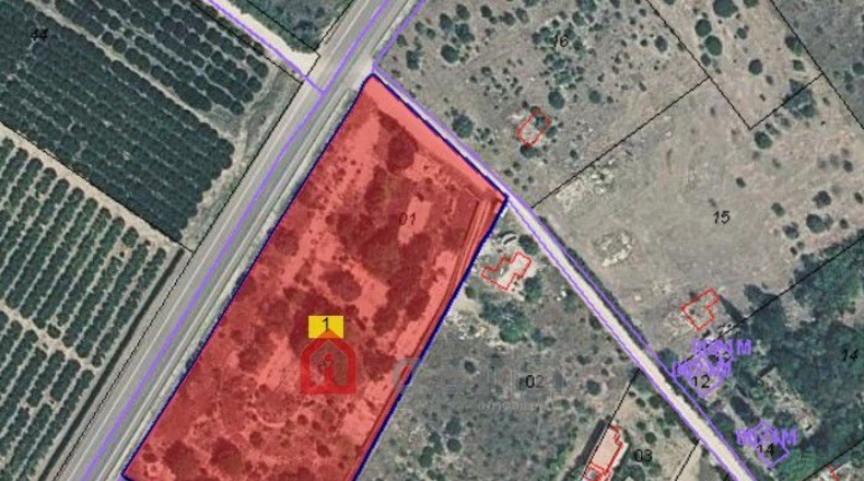 Castellón - Vinaròs - 43809m2