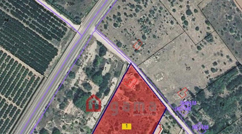 Castellón - Vinaròs - 43809m2