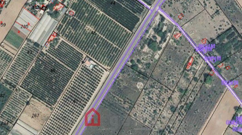 Castellón - Vinaròs - 43809m2