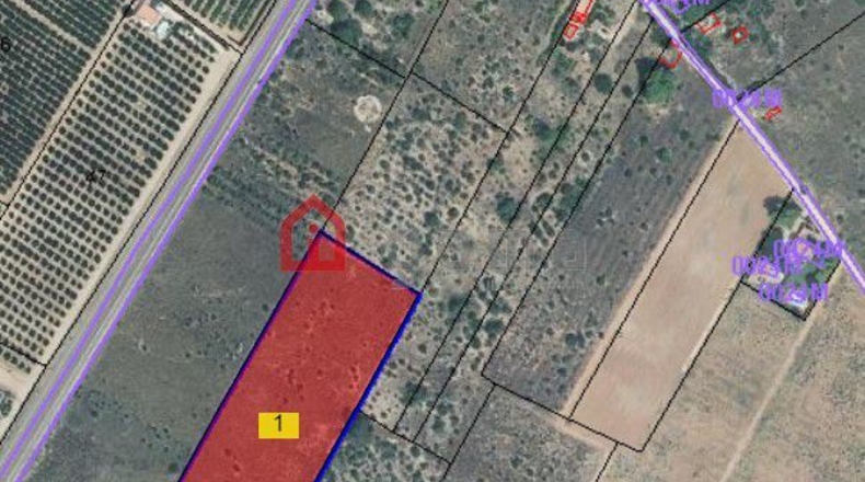 Castellón - Vinaròs - 43809m2