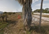 Suelo urbano en venta en la España, Vinaròs, ref: TR98169 foto