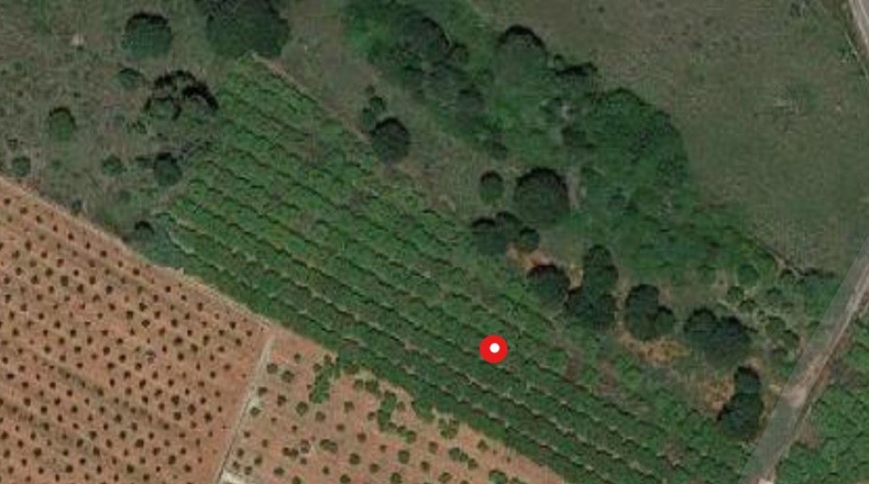 Castellón - Castellón de la Plana - 5485m2