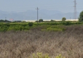 Finca rústica en venda a la España, Castelló de la Plana, ref.: TR188463 foto