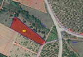 Finca rústica en venda a la España, Castelló de la Plana, ref.: TR188463 foto