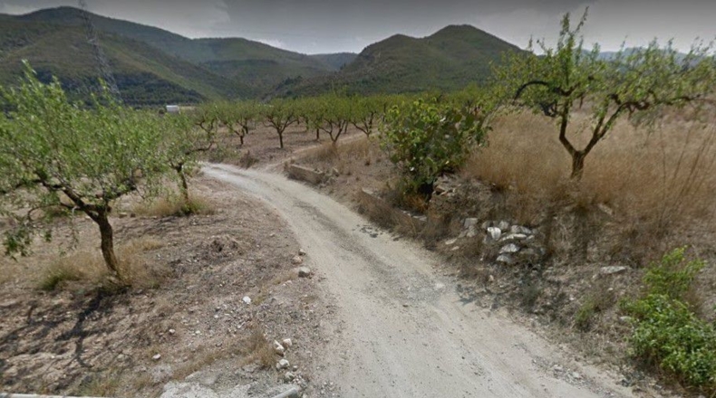 Castellón - Altura - 15740m2