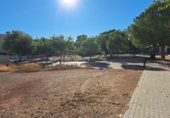 Parcel·la urbanitzable en venda a Almenara ref.: TR98076 foto