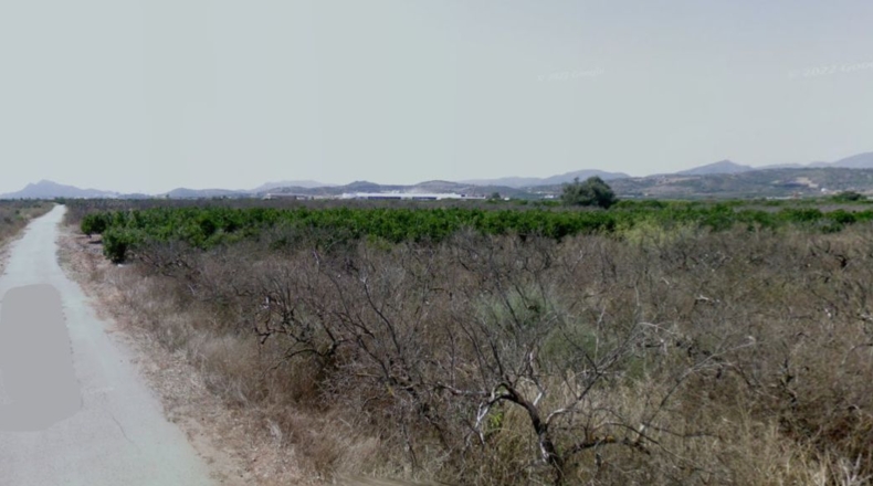 Castellon - Chilches - 1599m2