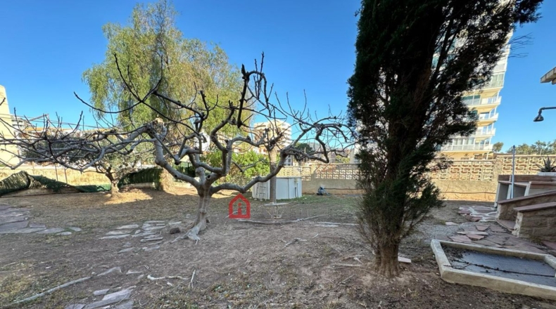 Castellón - Cuadro Santiago - 1089m2
