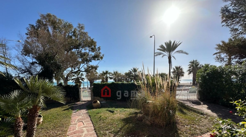 Castellón - Cuadro Santiago - 1089m2