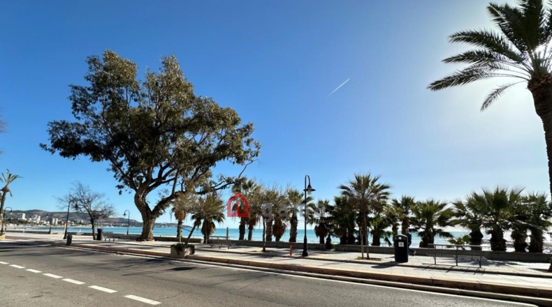 Castellón - Cuadro Santiago - 1089m2