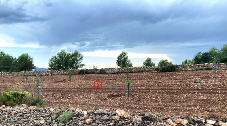 Castellón - Vall d'Alba - 42000m2