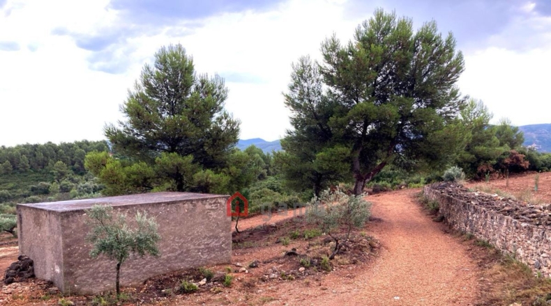 Castellón - Vall d'Alba - 42000m2