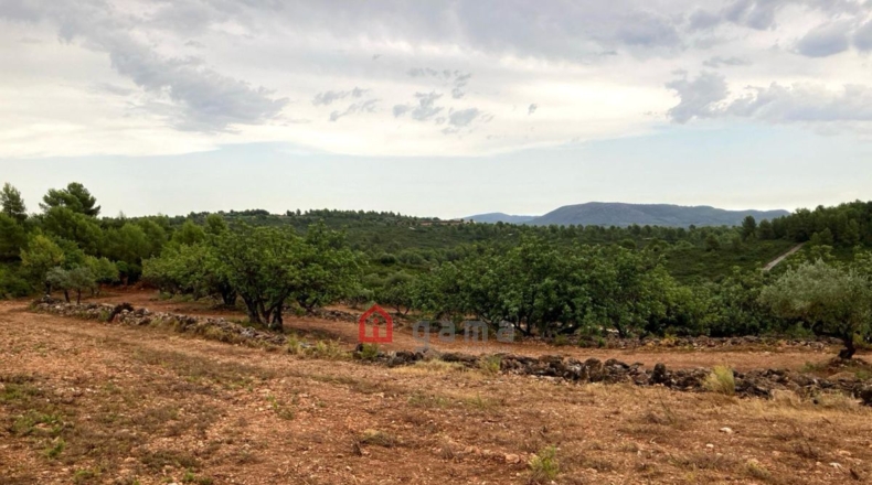 Castellón - Vall d'Alba - 42000m2