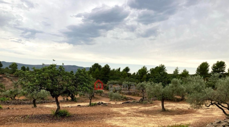 Castellón - Vall d'Alba - 42000m2