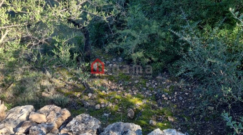 Castellón - Vall d'Alba - 42000m2