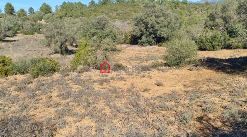 Castellón - Vall d'Alba - 42000m2