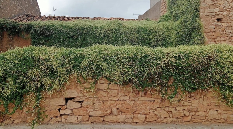 Castellón - Tírig - 150m2