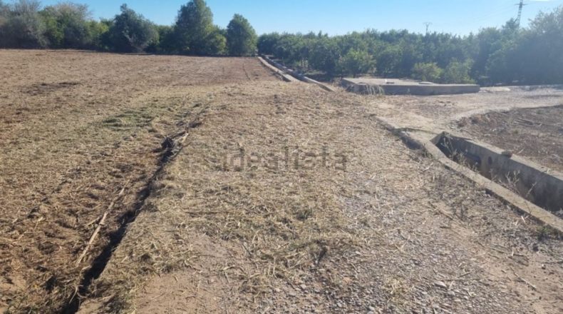 Castellón - Burriana - 12000m2