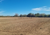 Xalet independent amb terreny en venda a Borriana ref.: TR188457 foto