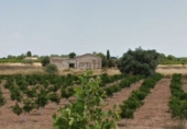 Xalet independent amb terreny en venda a Borriana ref.: TR188457 foto