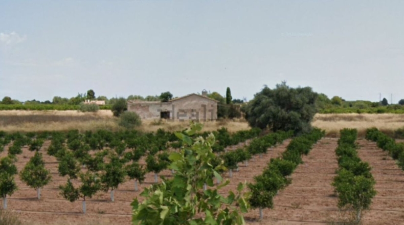 Castellón - Burriana - 12000m2