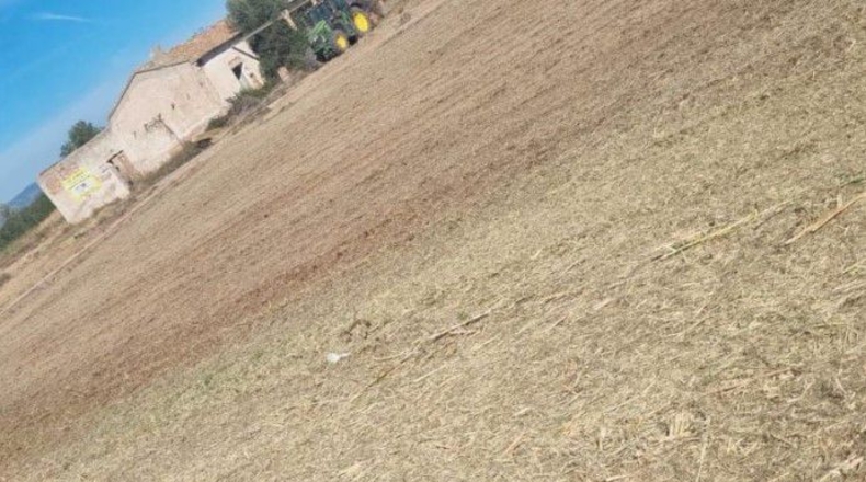 Castellón - Burriana - 12000m2