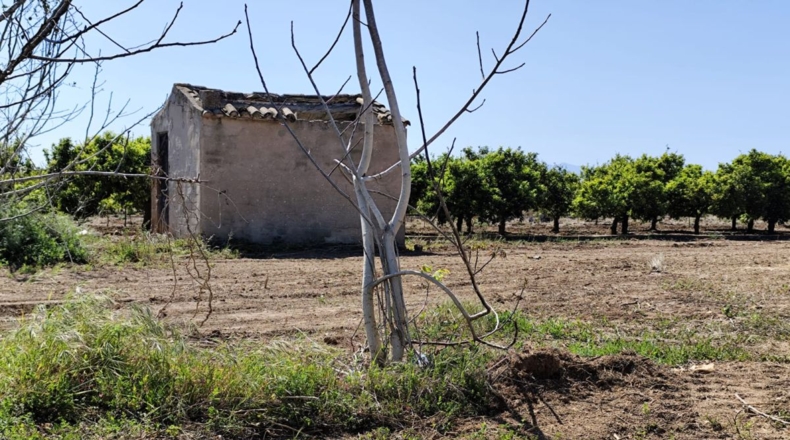 Castellón - Burriana - 3000m2