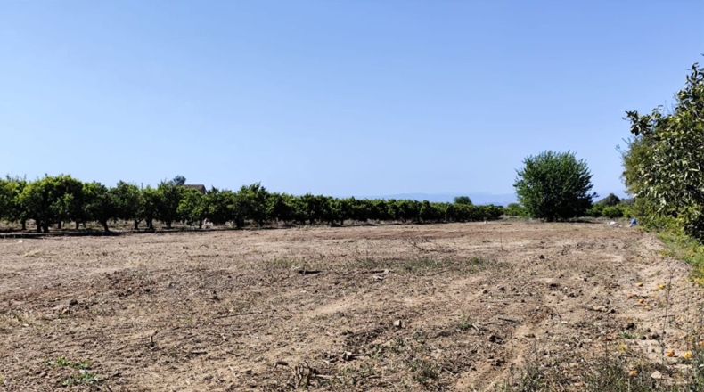 Castellón - Burriana - 3000m2