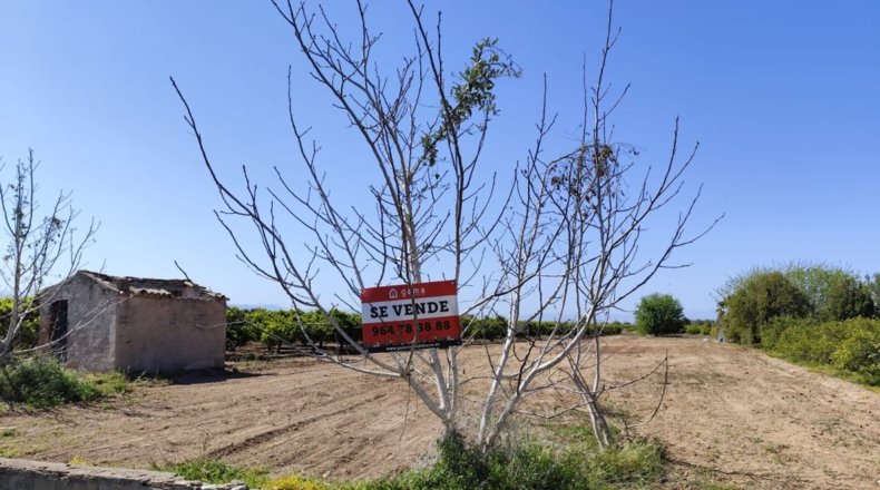 Castellón - Burriana - 3000m2