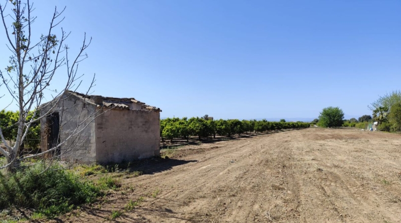 Castellón - Burriana - 3000m2