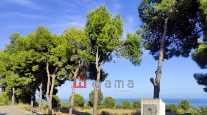 Castellón - Urbanització Font Nova - 9883m2