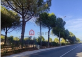 Urban land for sale in Peníscola ref: TR107142 photo