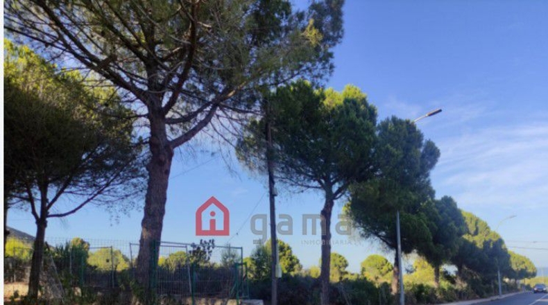 Castellón - Urbanització Font Nova - 9883m2