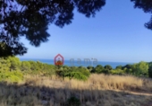 Urban land for sale in Peníscola ref: TR107142 photo