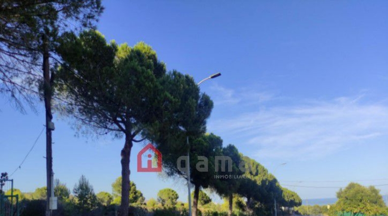Castellón - Urbanització Font Nova - 9883m2