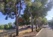Urban land for sale in Peníscola ref: TR107142 photo