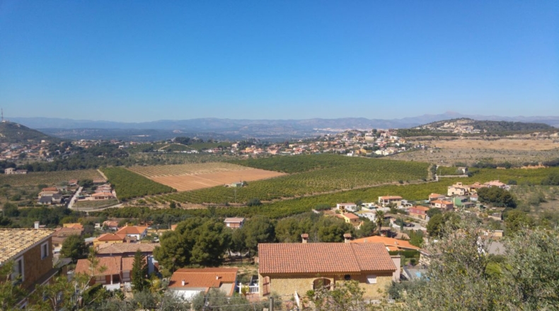 Castellón - Borriol - 1222m2
