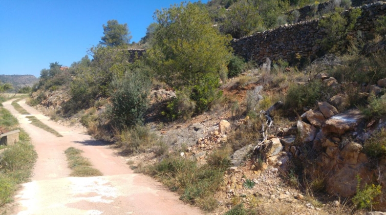 Castellón - Borriol - 1222m2