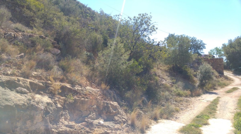 Castellón - Borriol - 1222m2