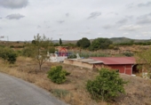 Detached villa with land for sale in Castelló de la Plana ref: TR187691 photo